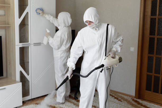 Best Mold Removal and Inspection  in La Riviera, CA
